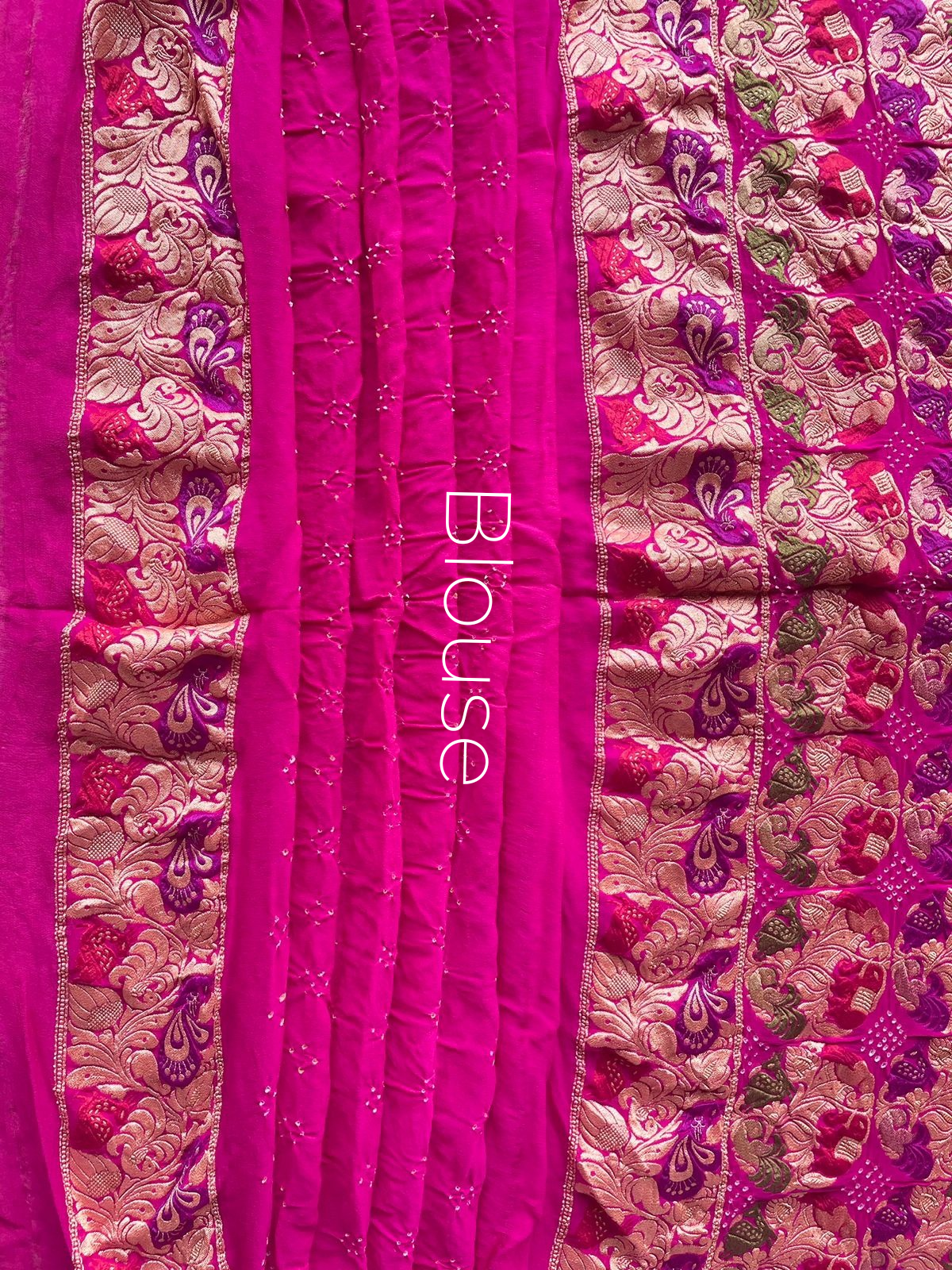 Apeksha - Hope Meenakari Motif Saree