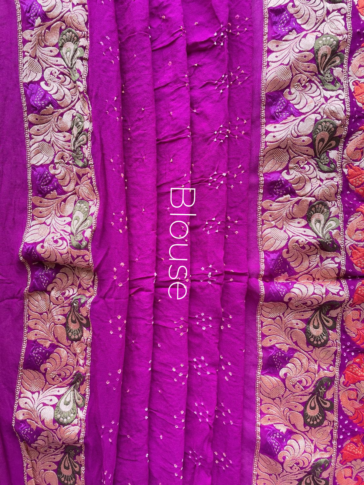Amrita - Immortality Meenakari Motif Saree