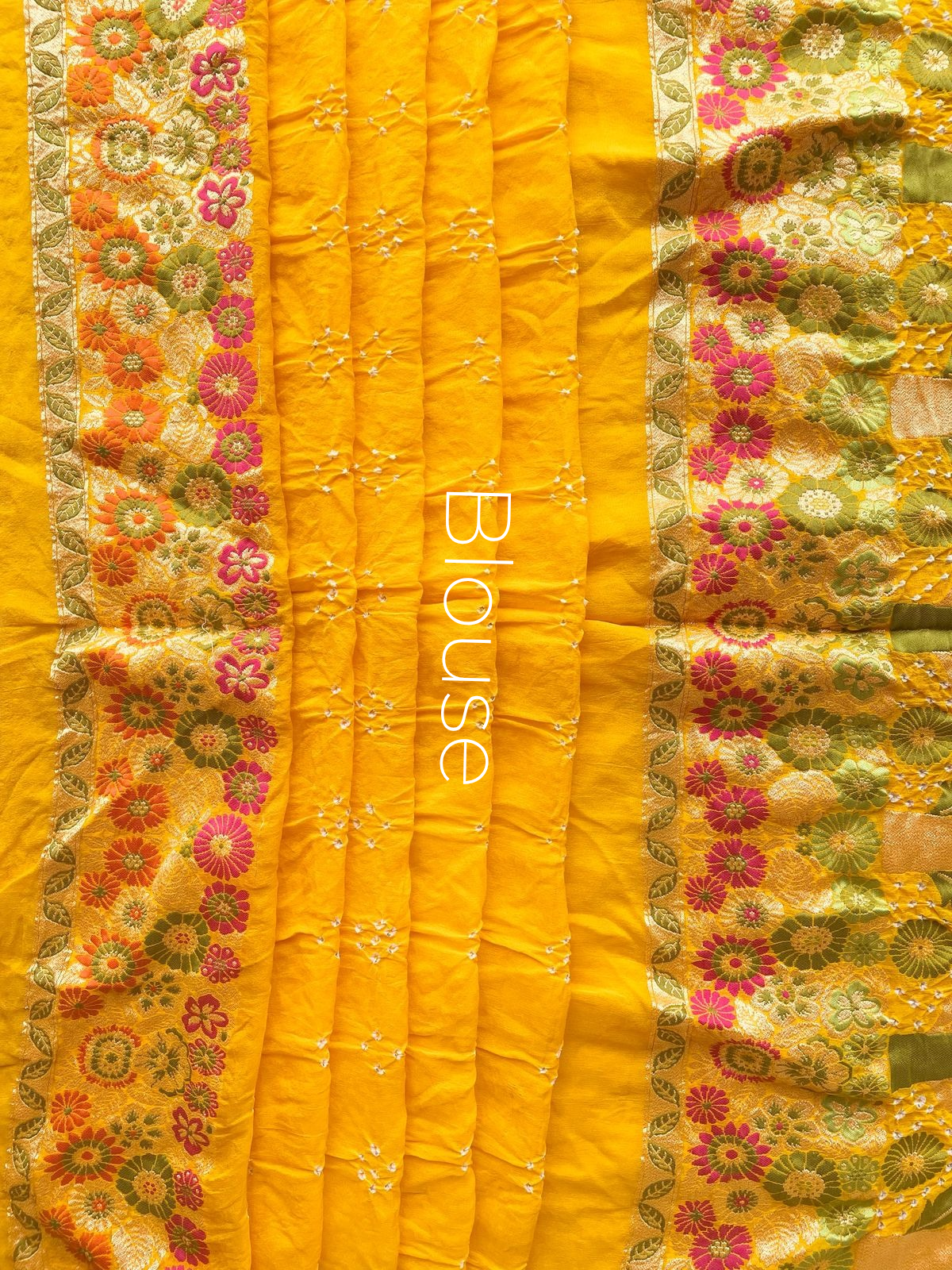 Riya - A Gem Meenakari Motif Saree