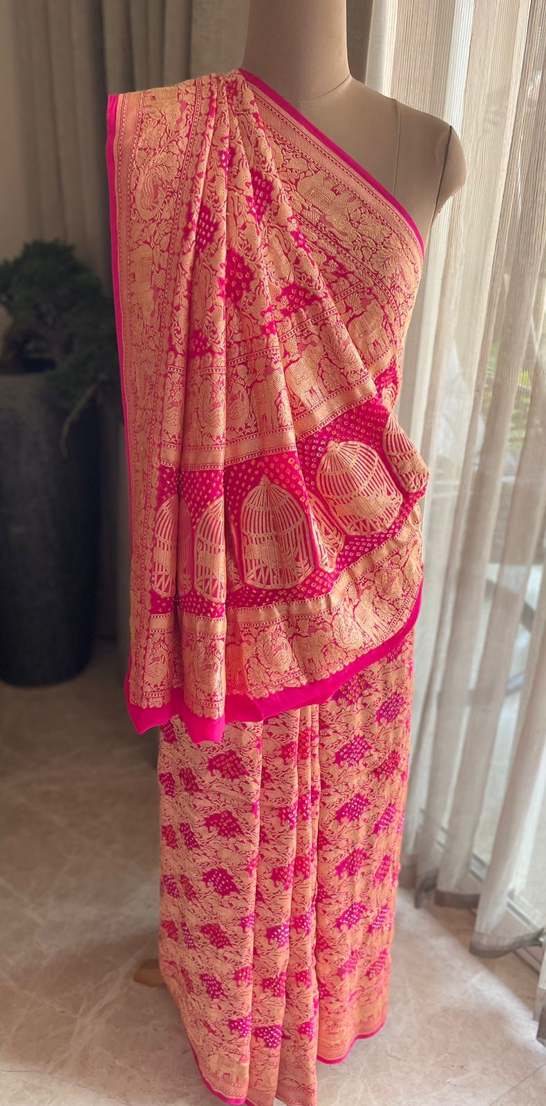 Gaurika - Lord of Brahmins Saree