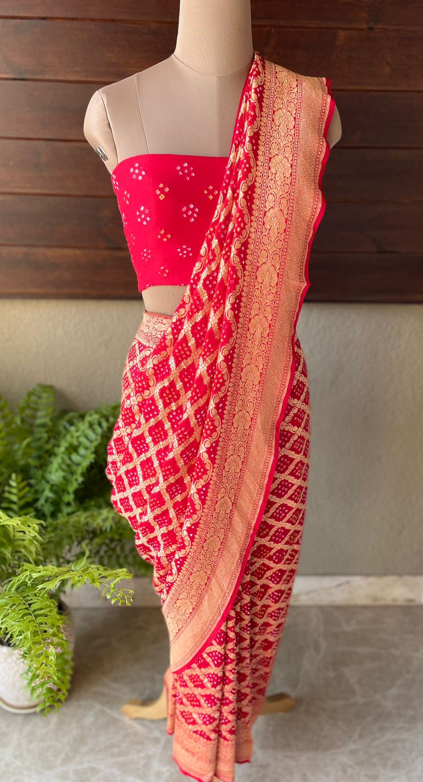Jeevika - Source of Life Saree