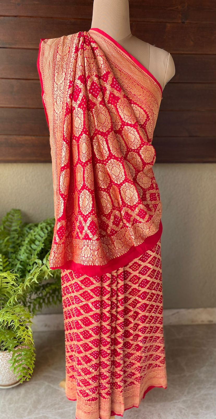 Jeevika - Source of Life Saree