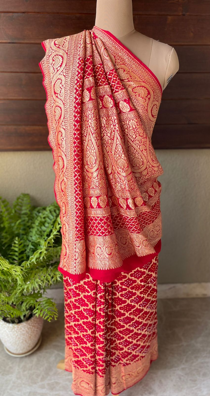 Anaika - Powerful Saree