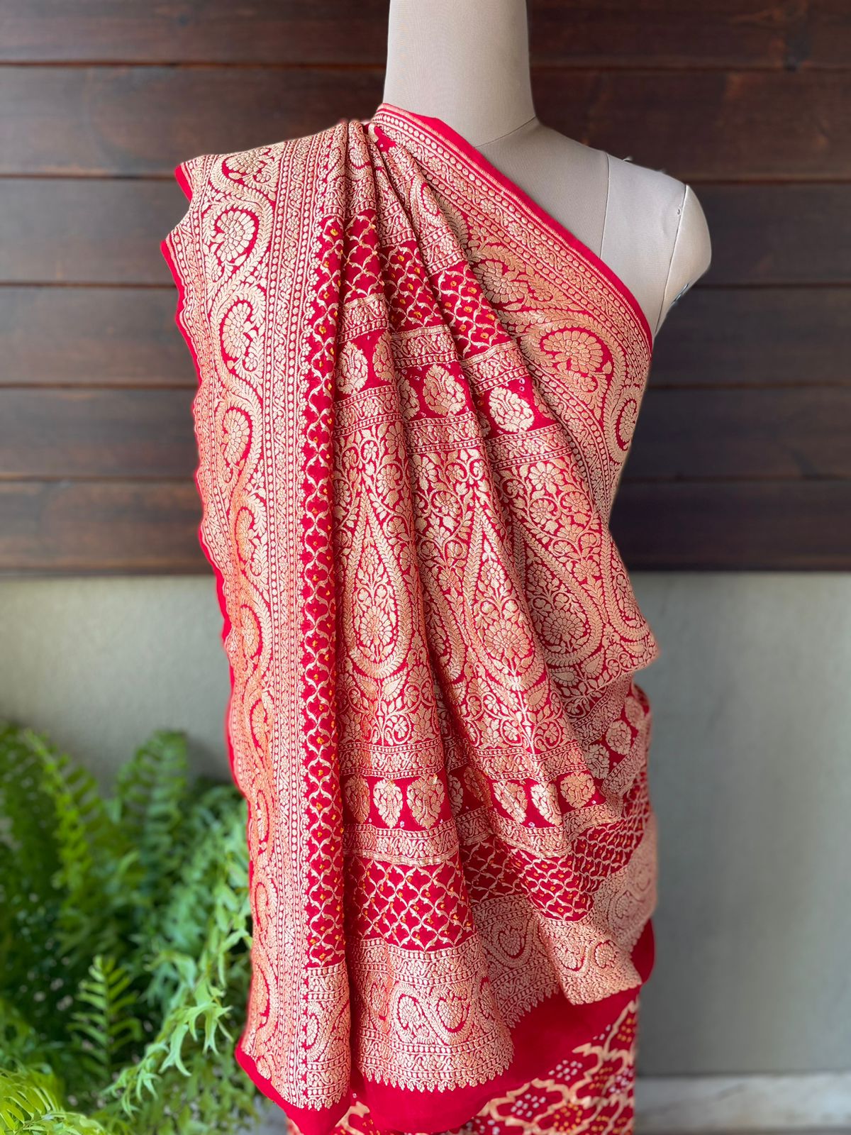 Anaika - Powerful Saree