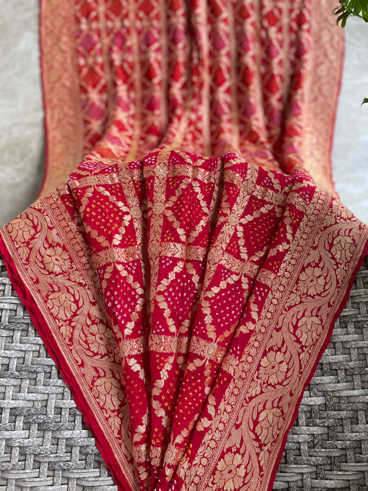 Adah - Decorated Saree