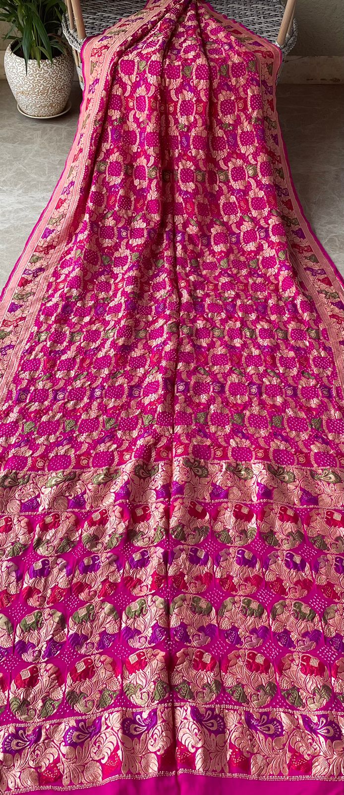 Apeksha - Hope Meenakari Motif Saree