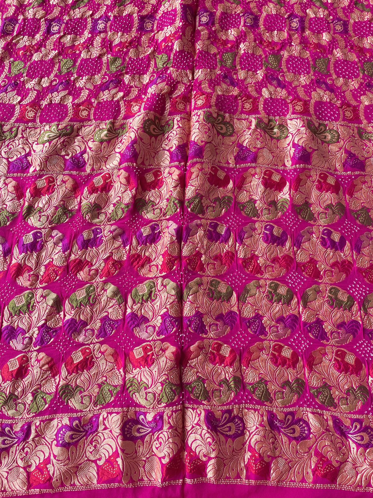 Apeksha - Hope Meenakari Motif Saree