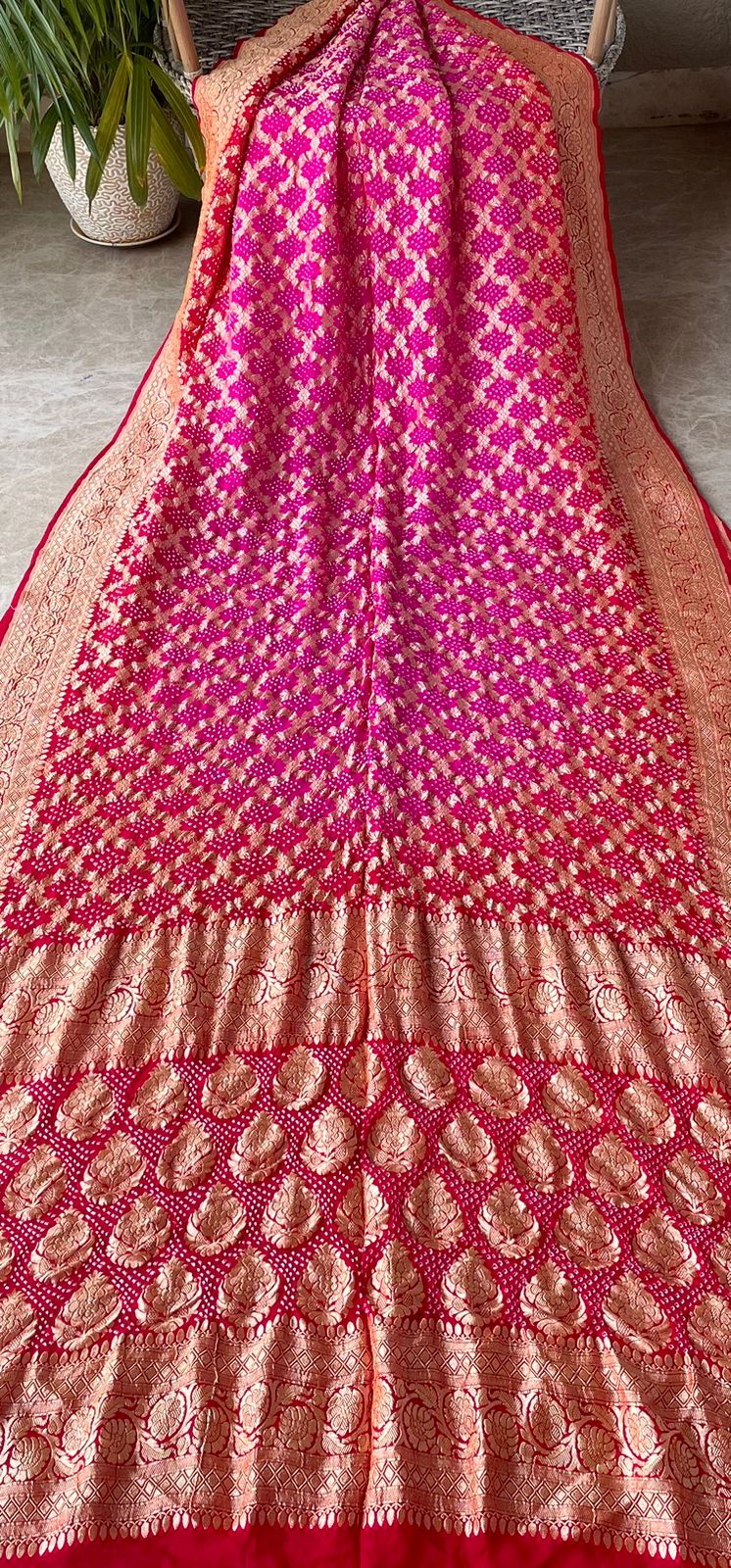 Swara - Symphonic Sounds Saree