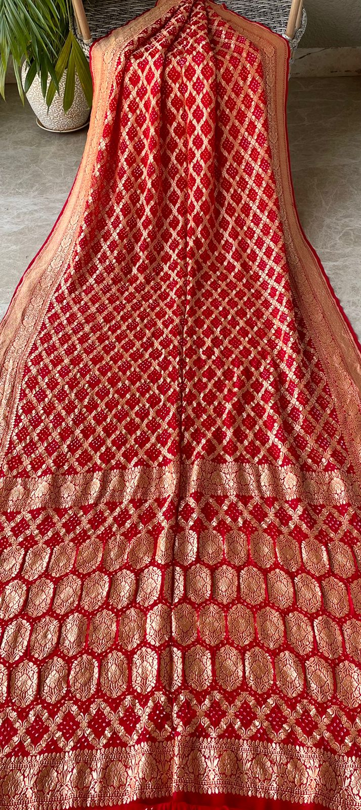 Jeevika - Source of Life Saree