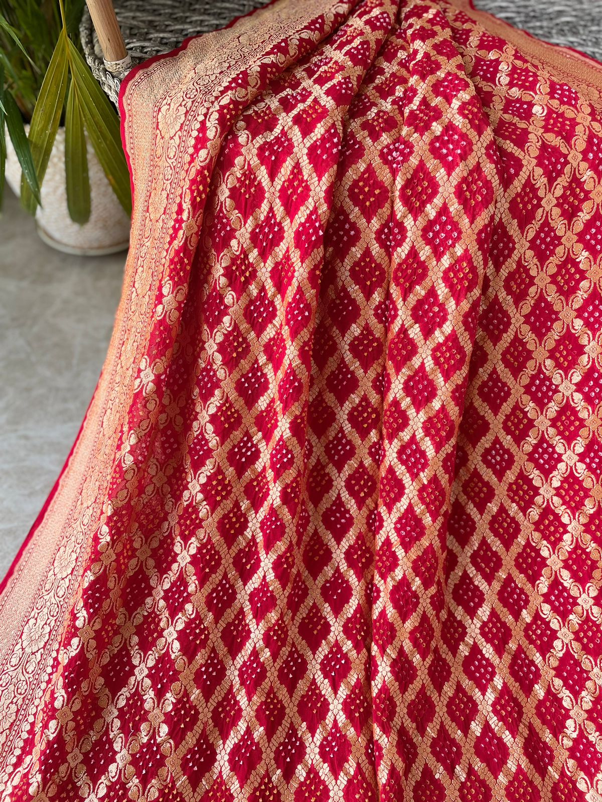 Jeevika - Source of Life Saree