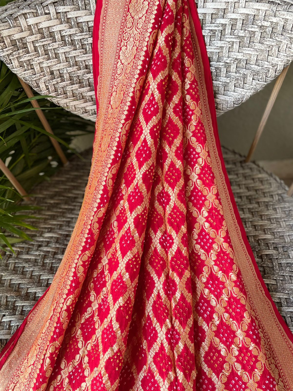 Jeevika - Source of Life Saree