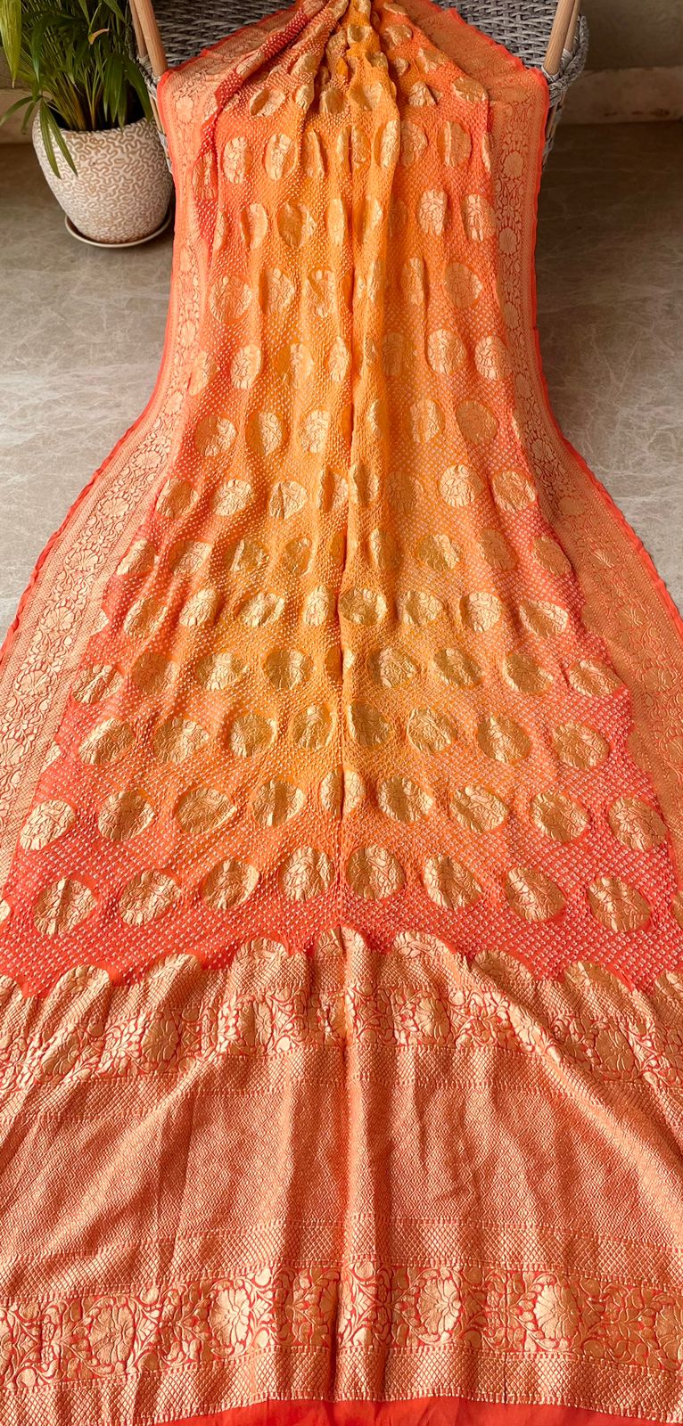 Sanjana - Gentle Saree