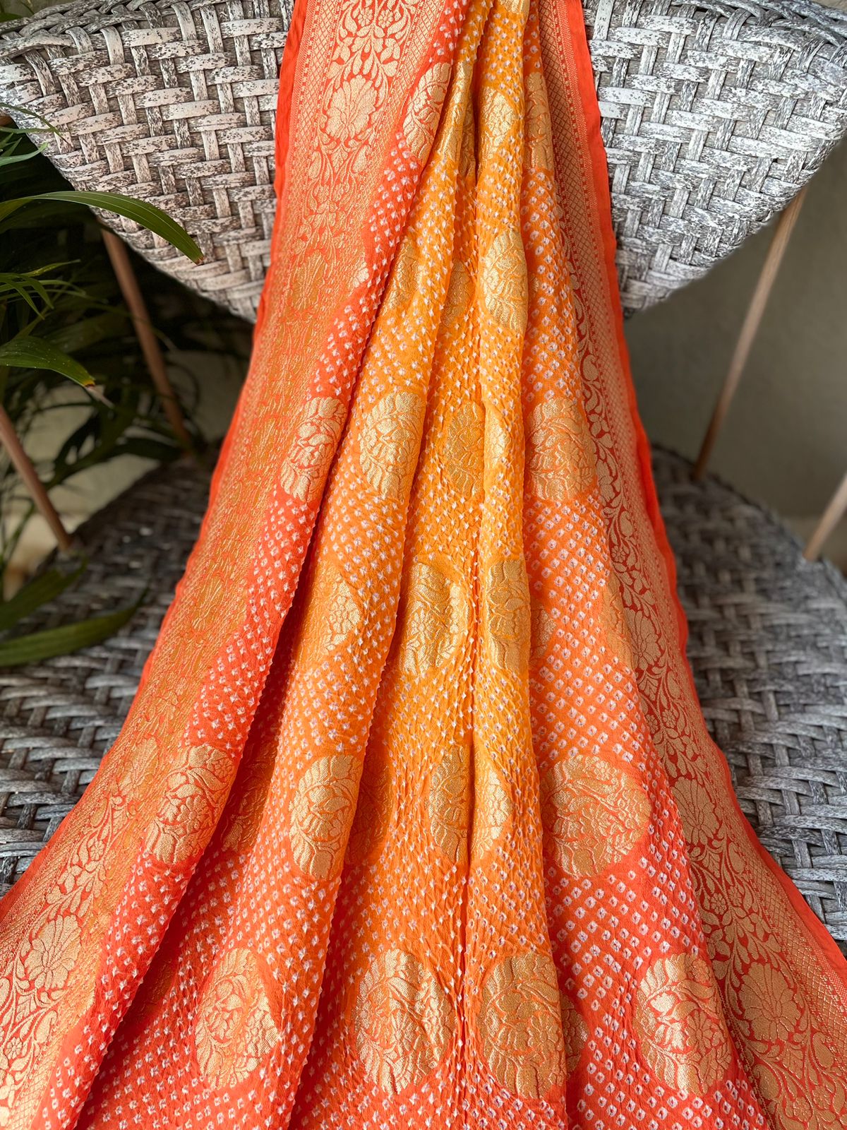 Sanjana - Gentle Saree