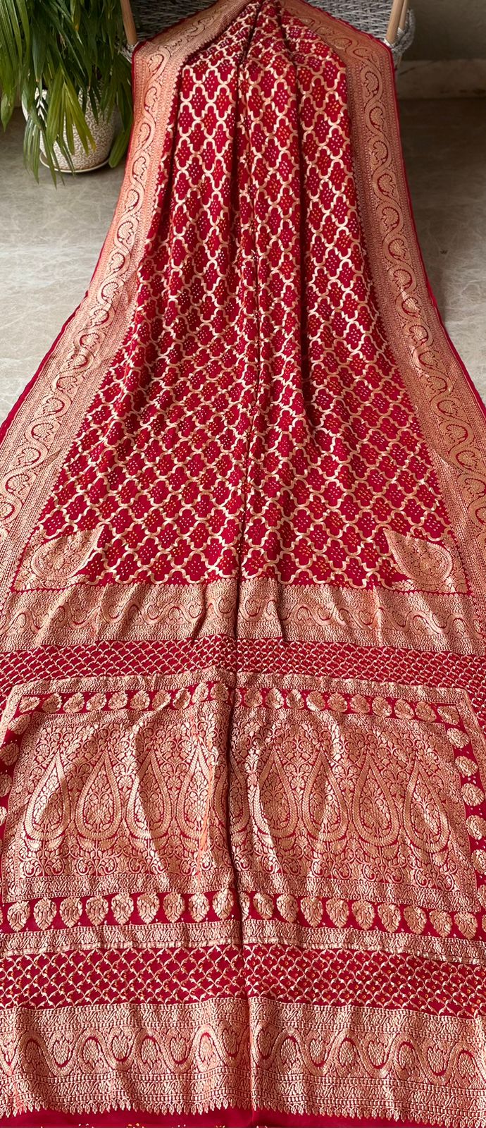 Anaika - Powerful Saree