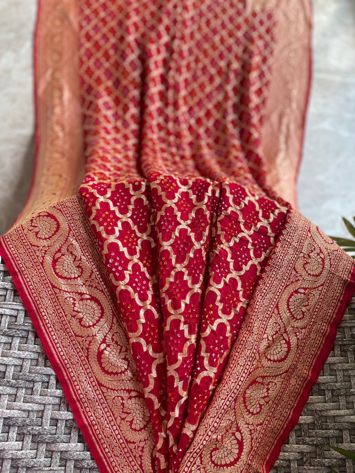 Anaika - Powerful Saree