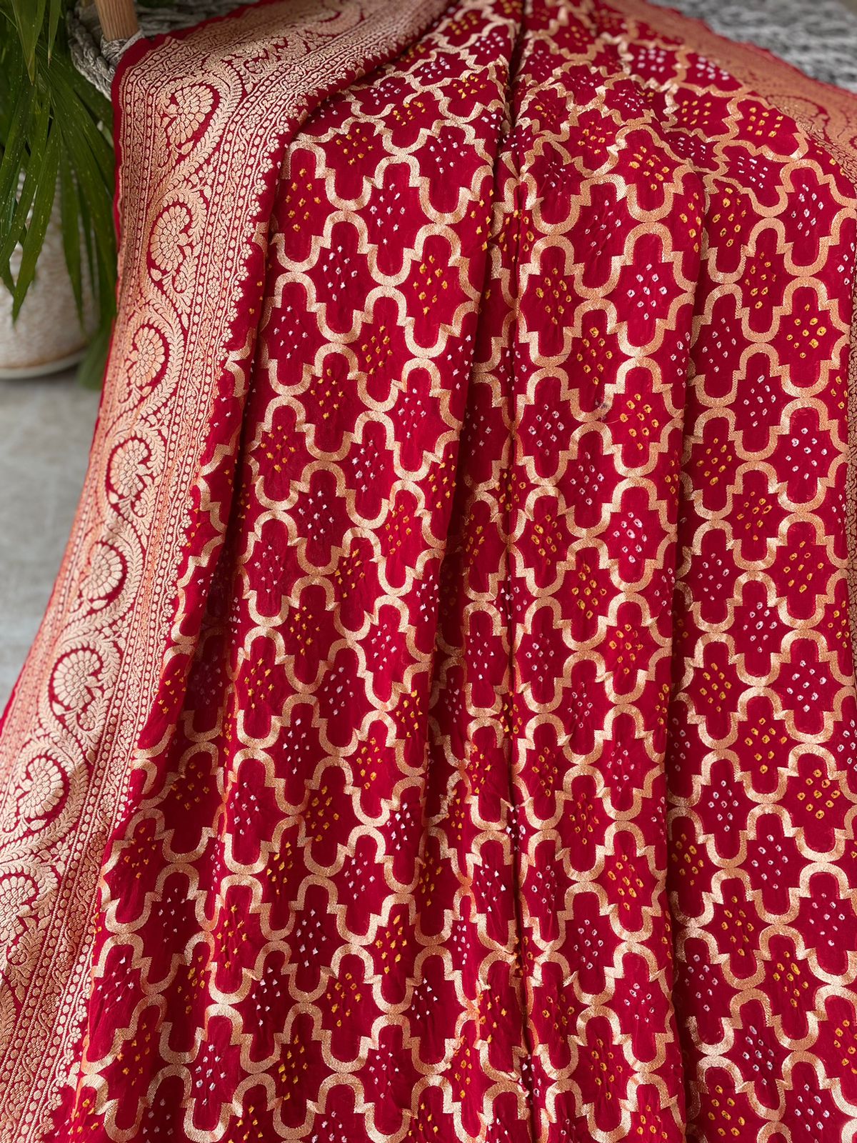 Anaika - Powerful Saree