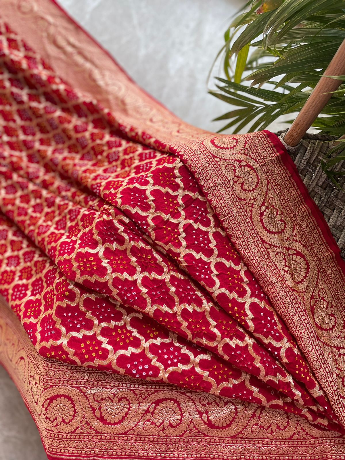 Anaika - Powerful Saree