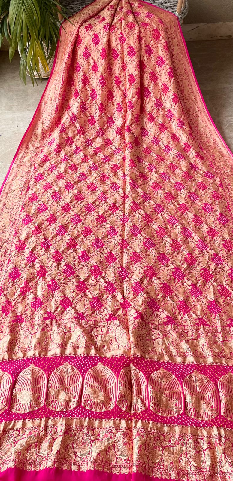 Gaurika - Lord of Brahmins Saree