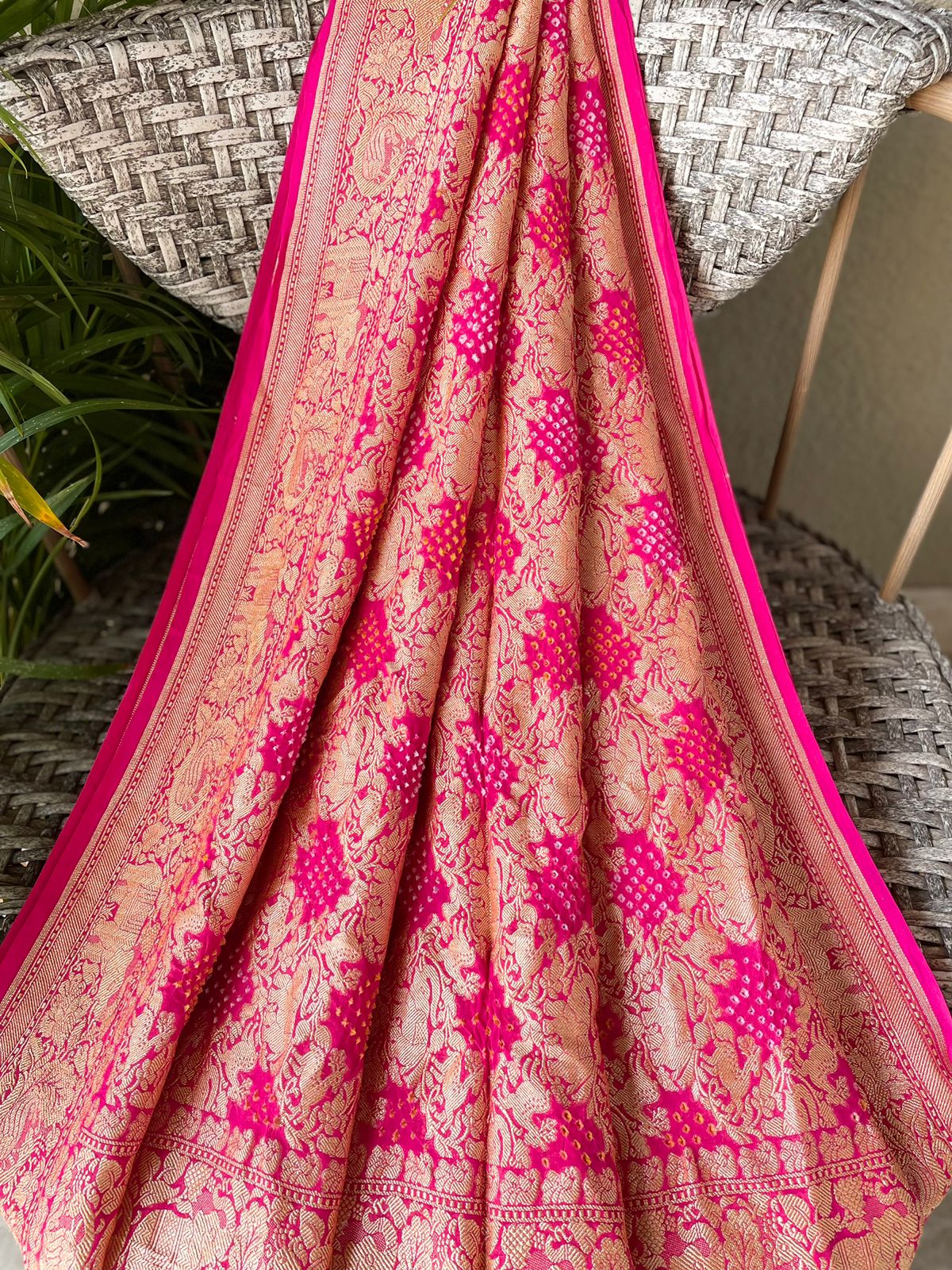 Gaurika - Lord of Brahmins Saree