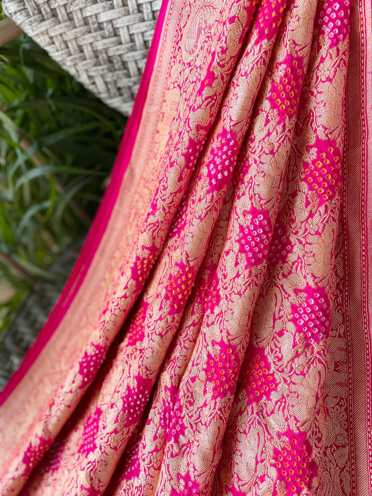 Gaurika - Lord of Brahmins Saree