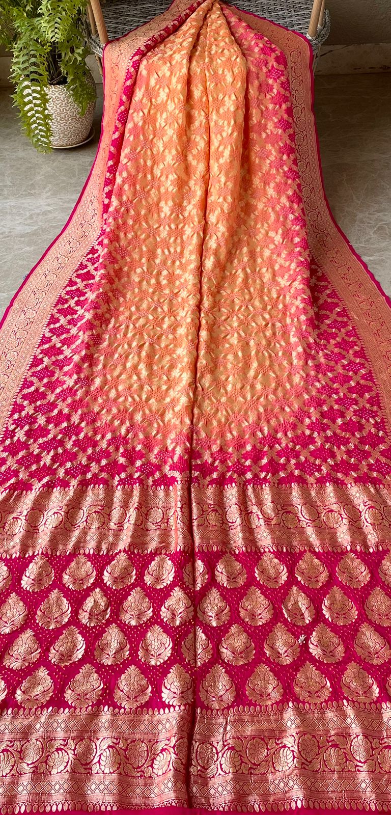 Aashvi - Full of Grace Saree