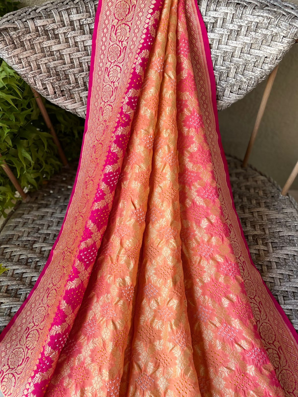 Aashvi - Full of Grace Saree