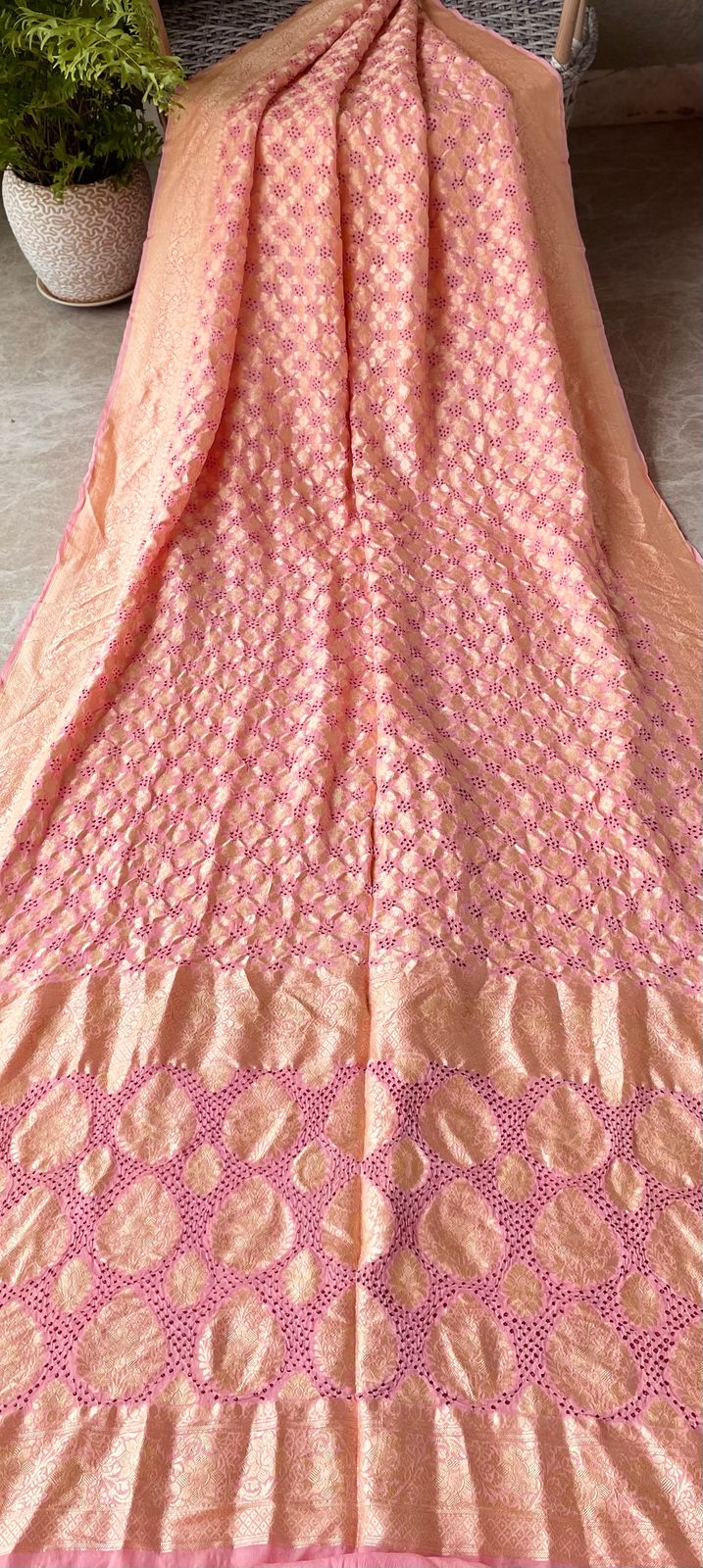 Samaira - Enchanting Saree