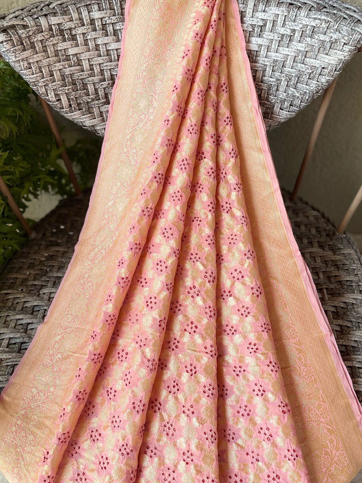Samaira - Enchanting Saree