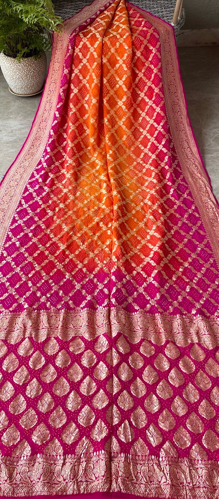 Aanya - Full of Grace Saree