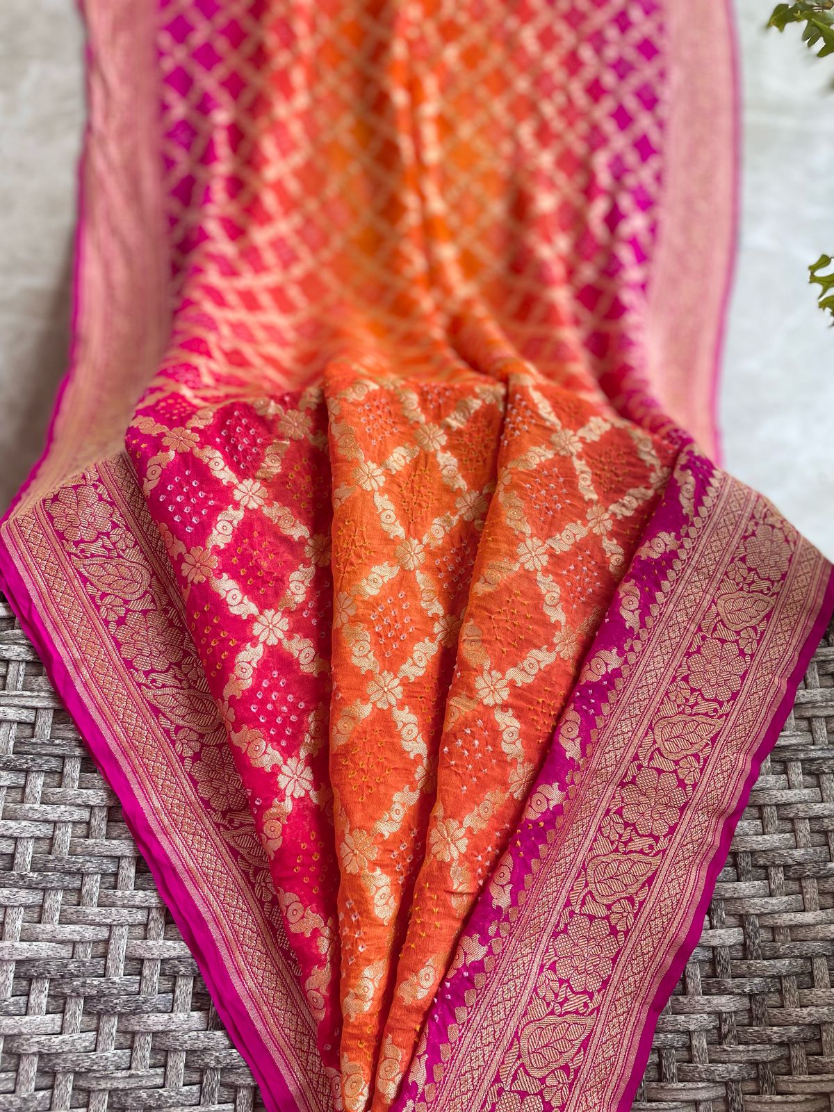 Aanya - Full of Grace Saree