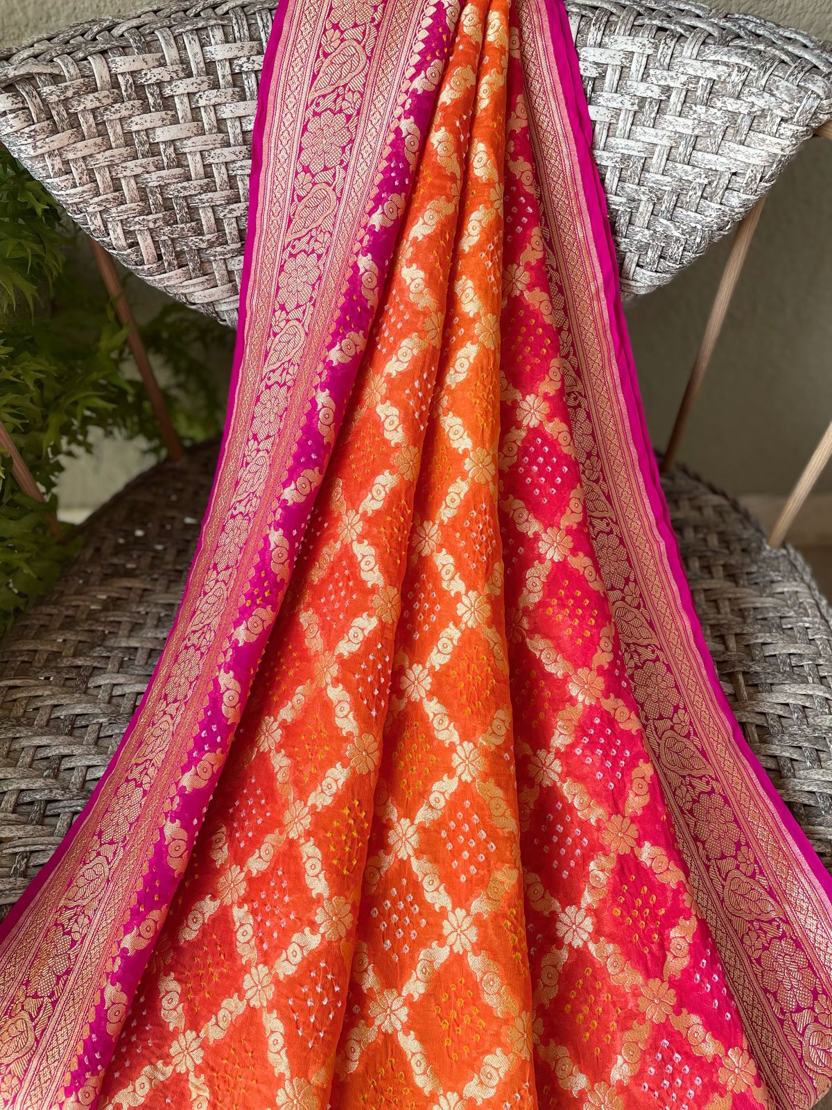 Aanya - Full of Grace Saree