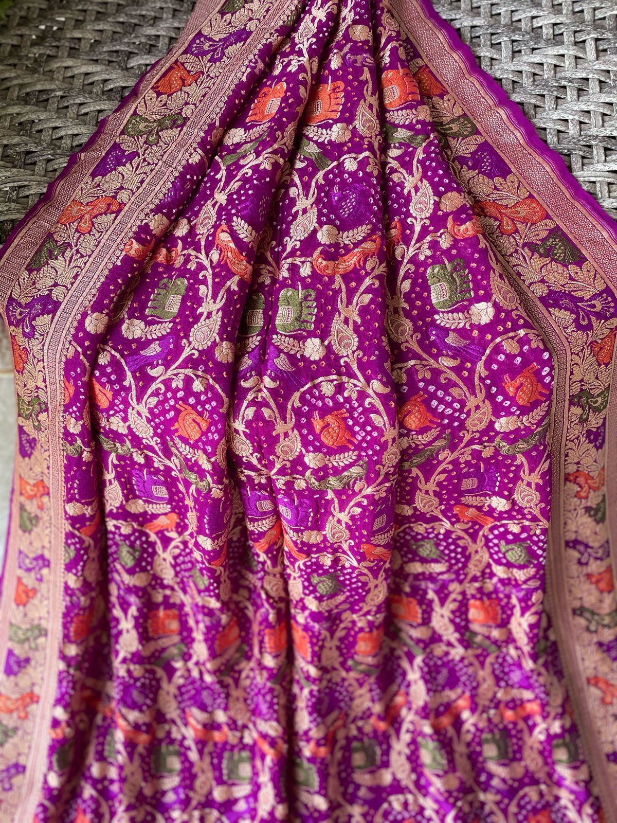Amrita - Immortality Meenakari Motif Saree