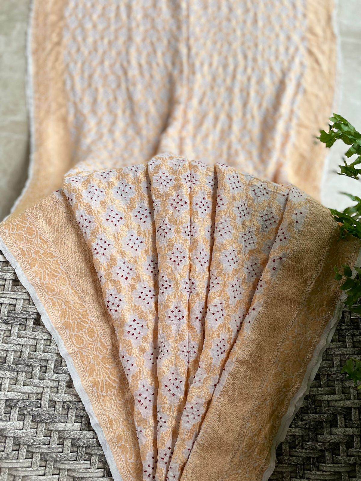 Saisha - Meaningful life Saree