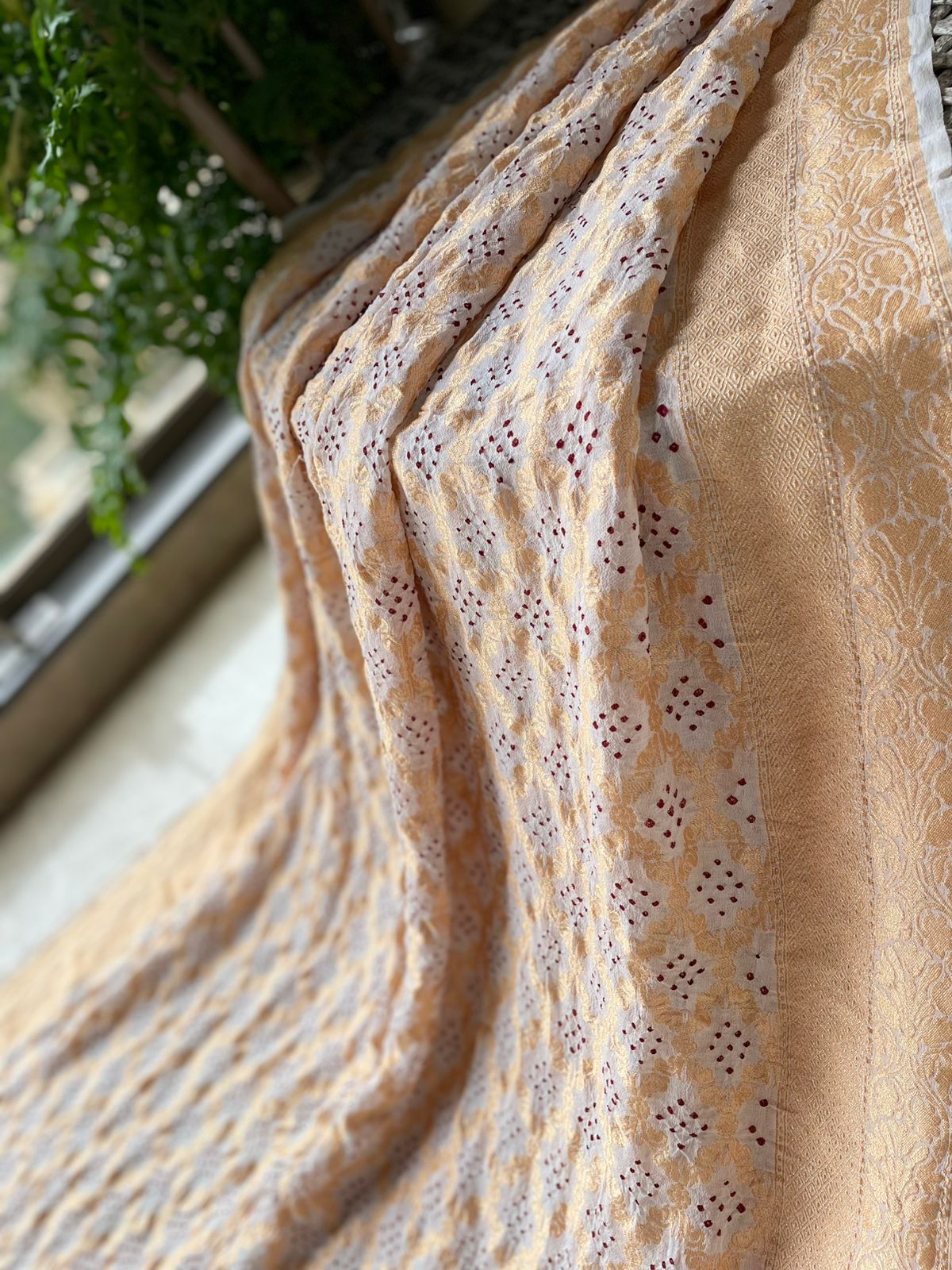 Saisha - Meaningful life Saree