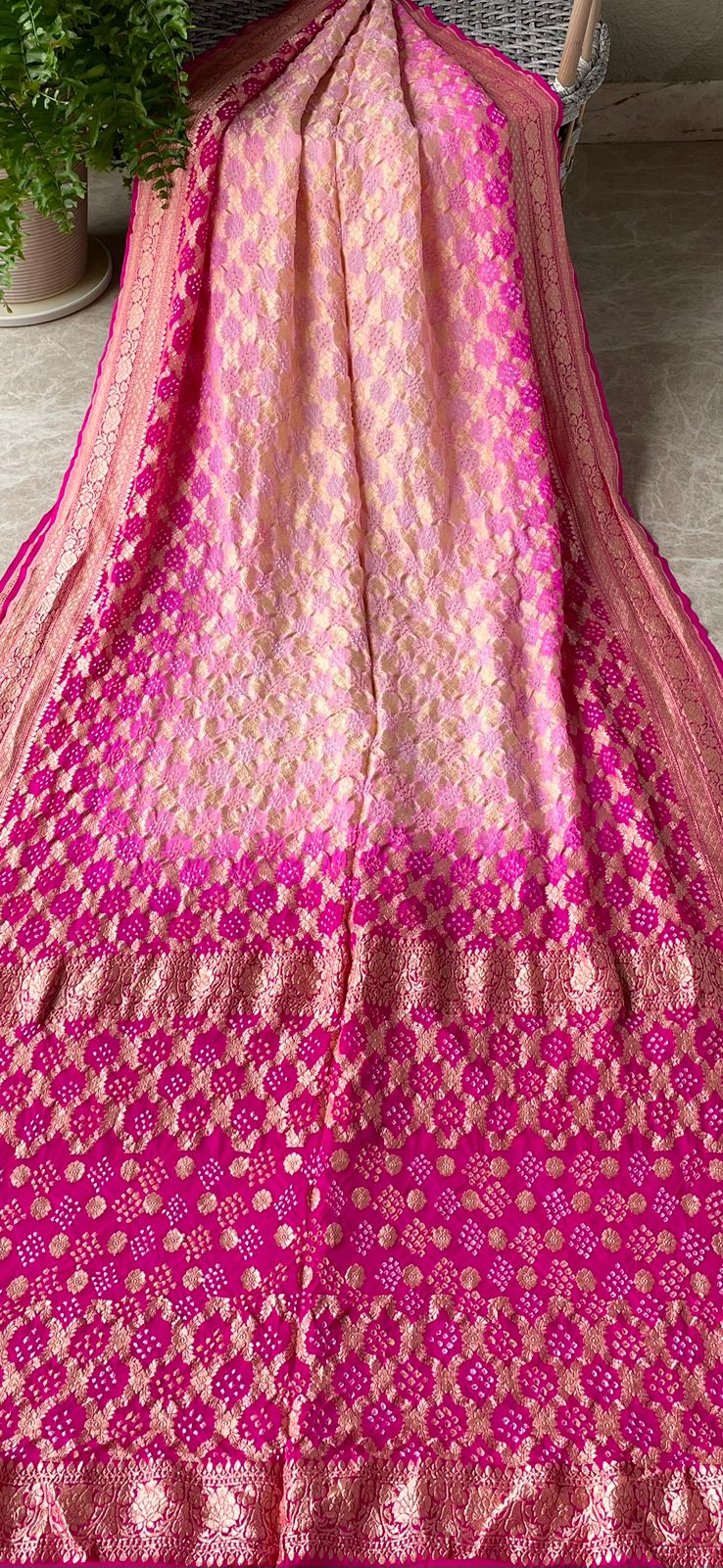 Aashvi - Full of Grace Saree
