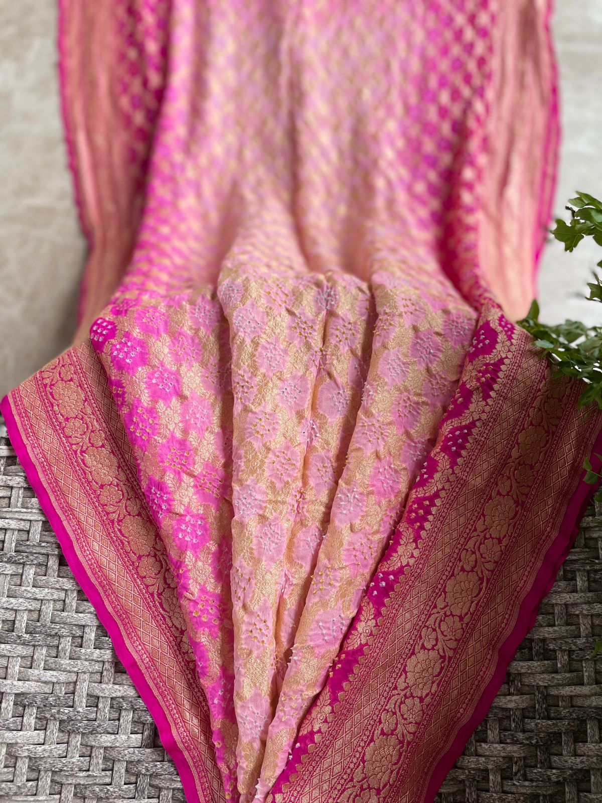 Aashvi - Full of Grace Saree