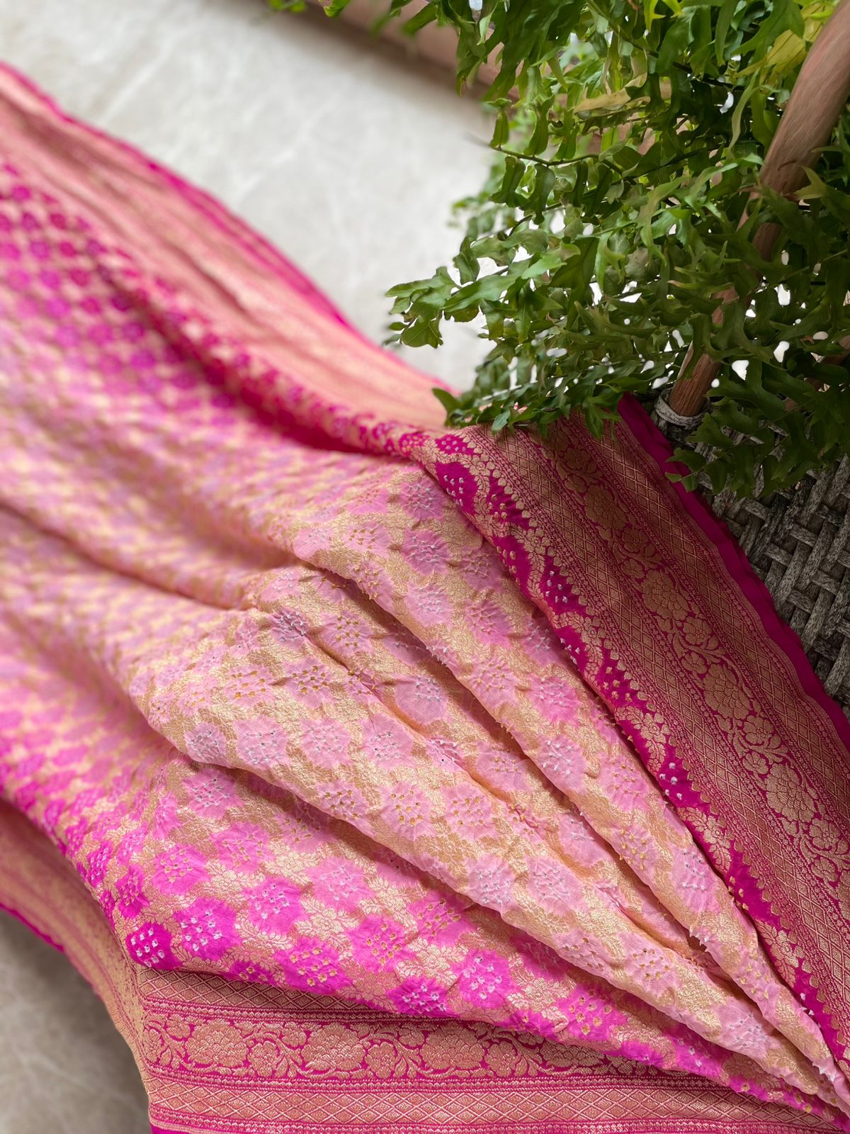 Aashvi - Full of Grace Saree