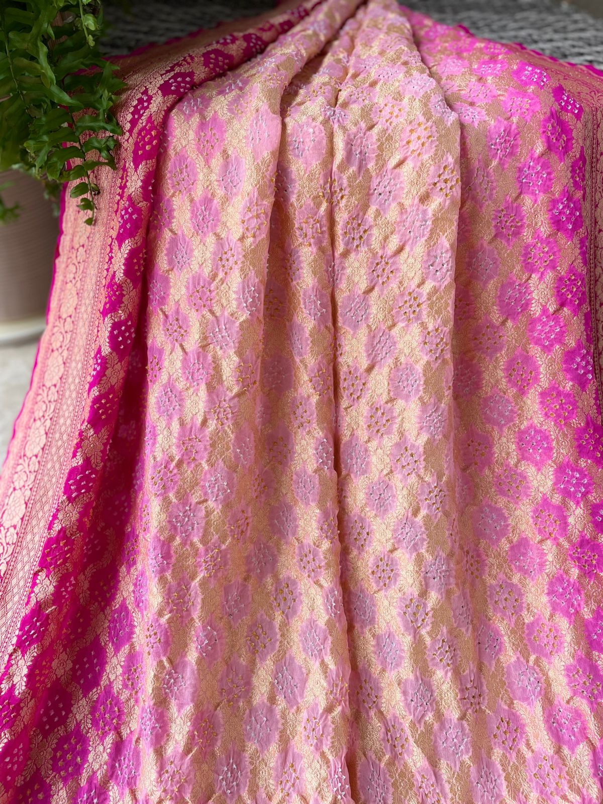 Aashvi - Full of Grace Saree