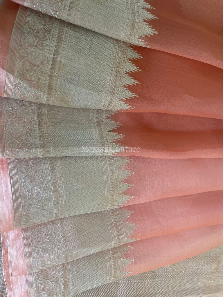 Anya - Full Of Grace Banarasi Tissue Silk Saree Saree
