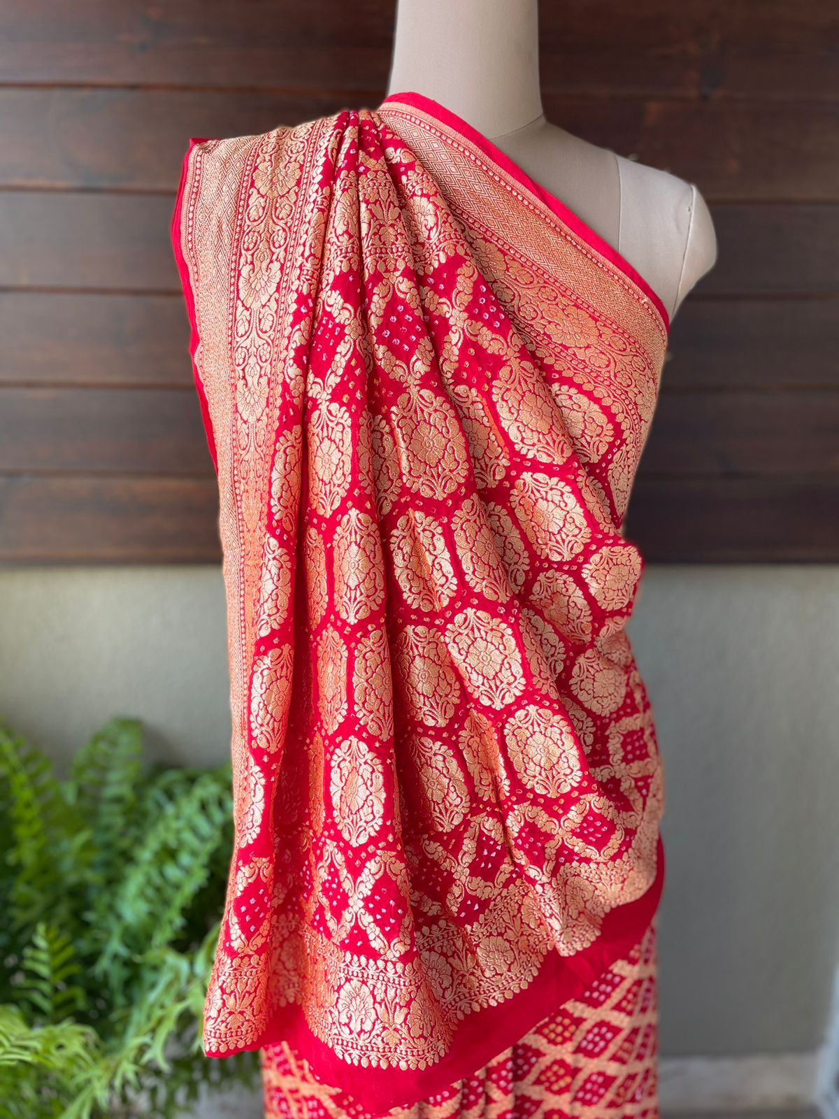 Jeevika - Source of Life Saree