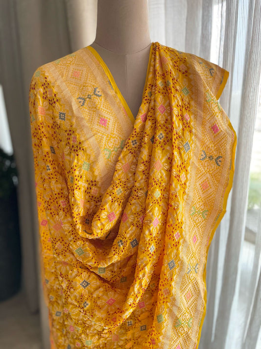 Nalini - Mother Of The Vedas Meenakari Dupatta