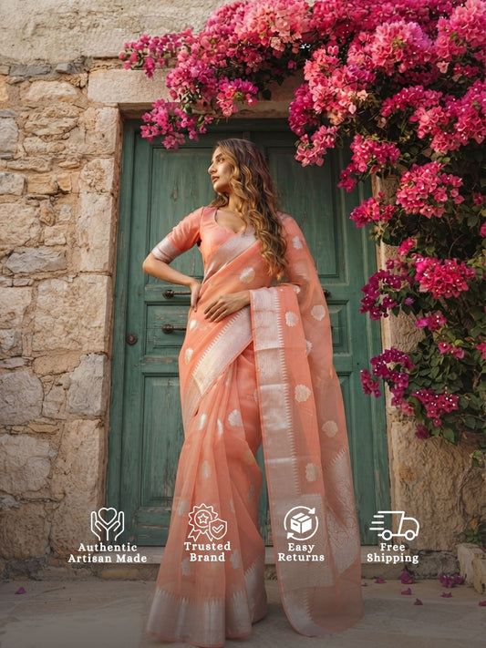 Anya - Full of Grace Banarasi Organza Silk Saree