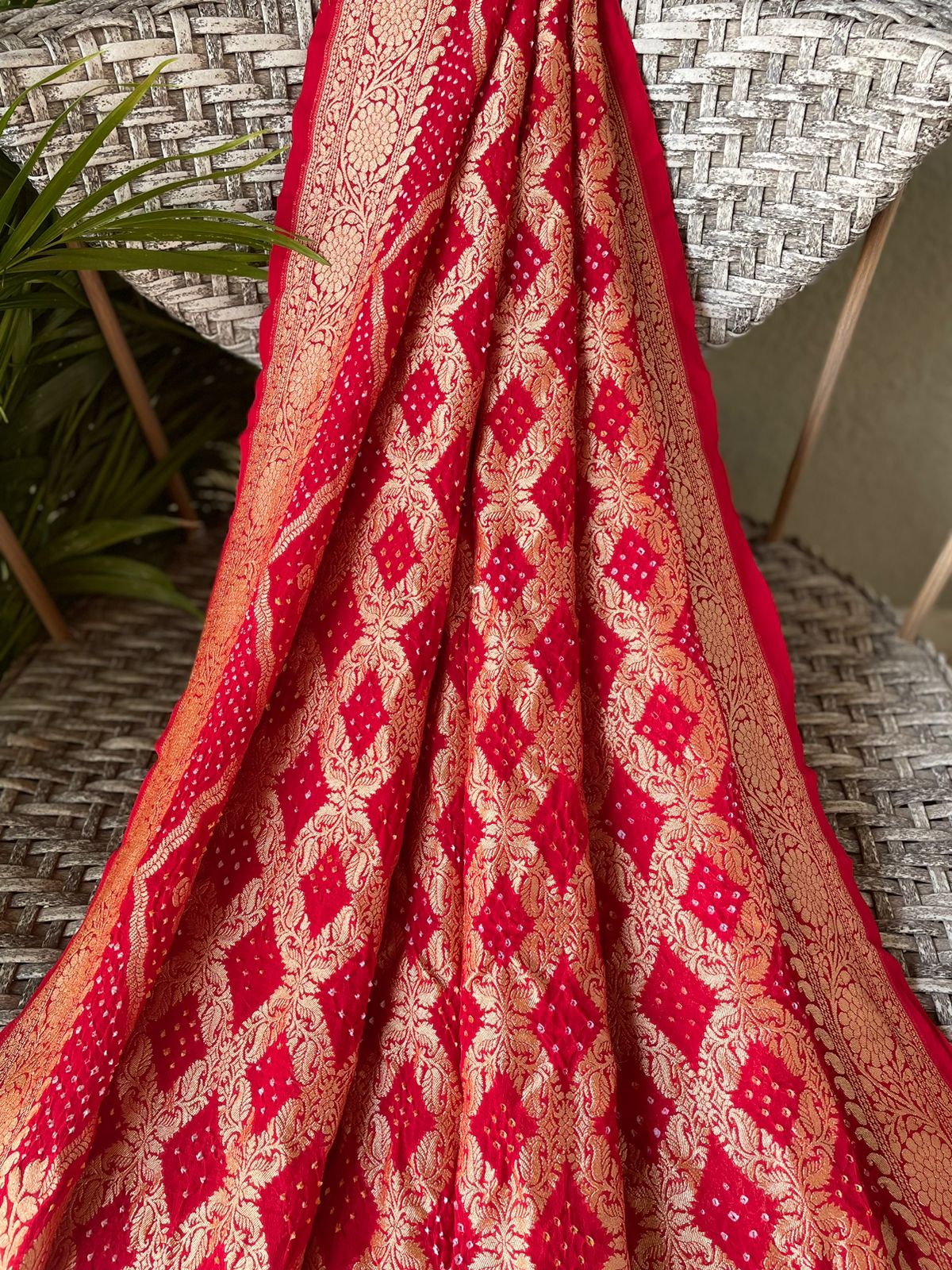 Amaira - Endless Beauty Saree