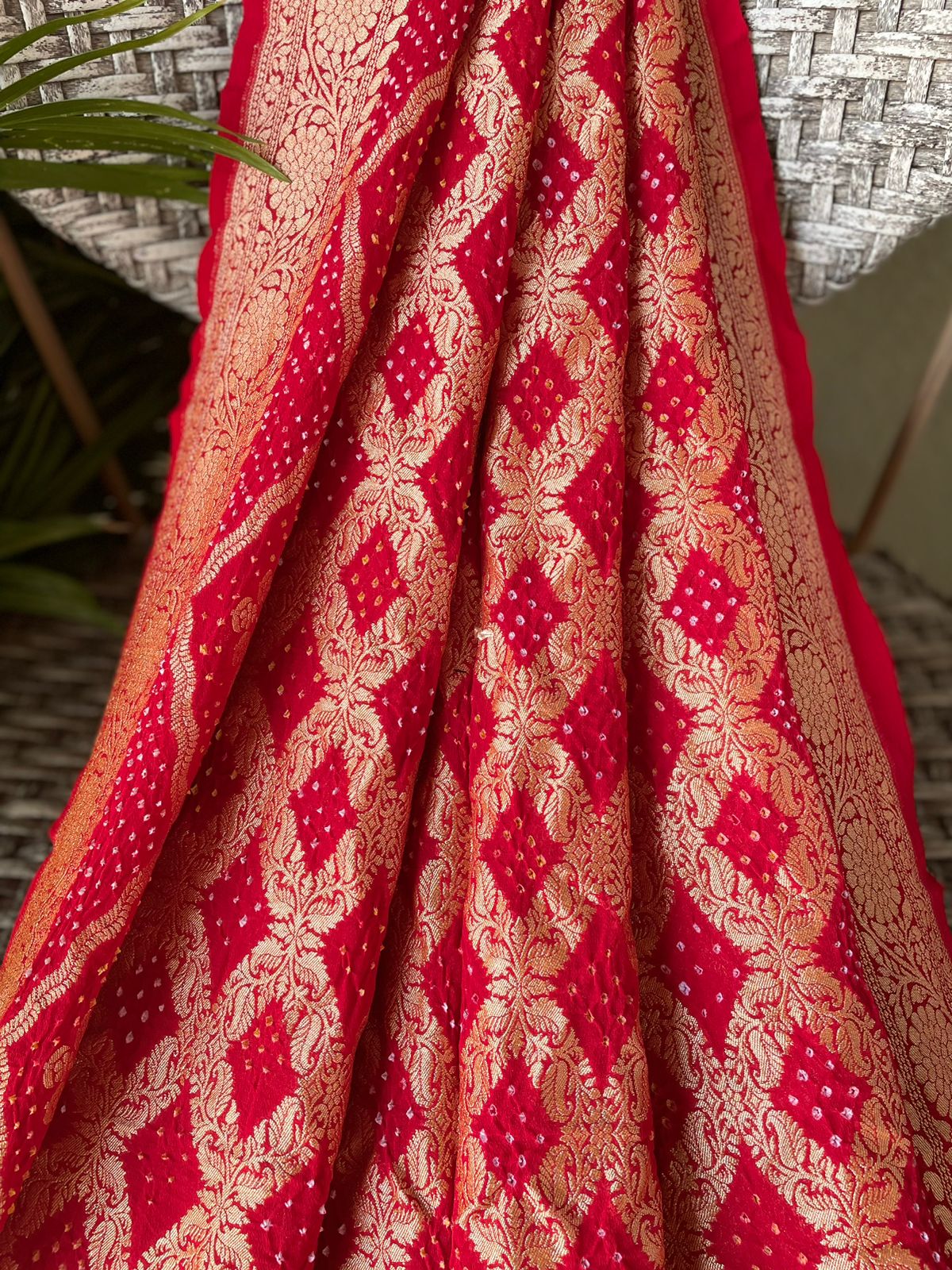 Amaira - Endless Beauty Saree