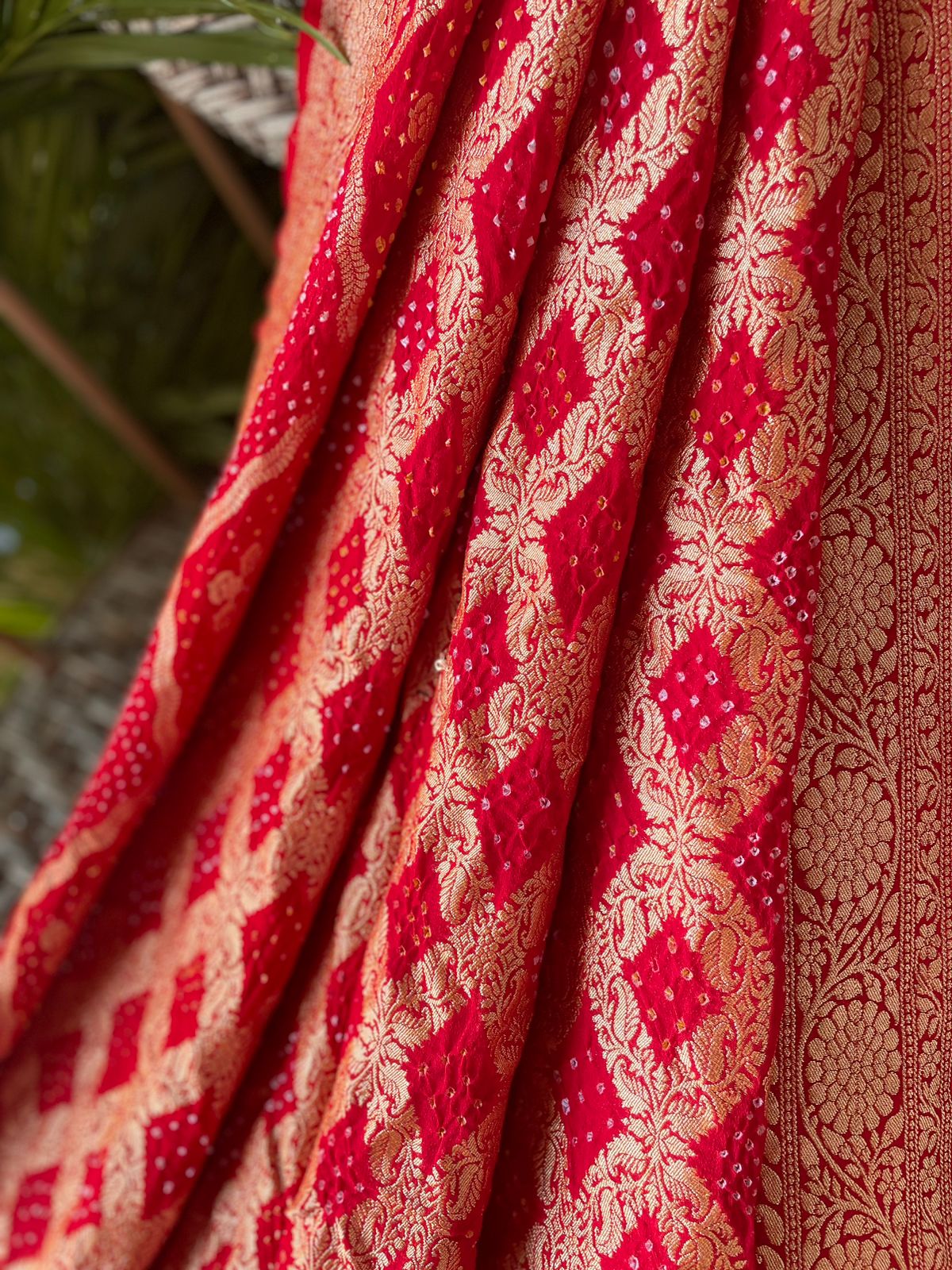 Amaira - Endless Beauty Saree