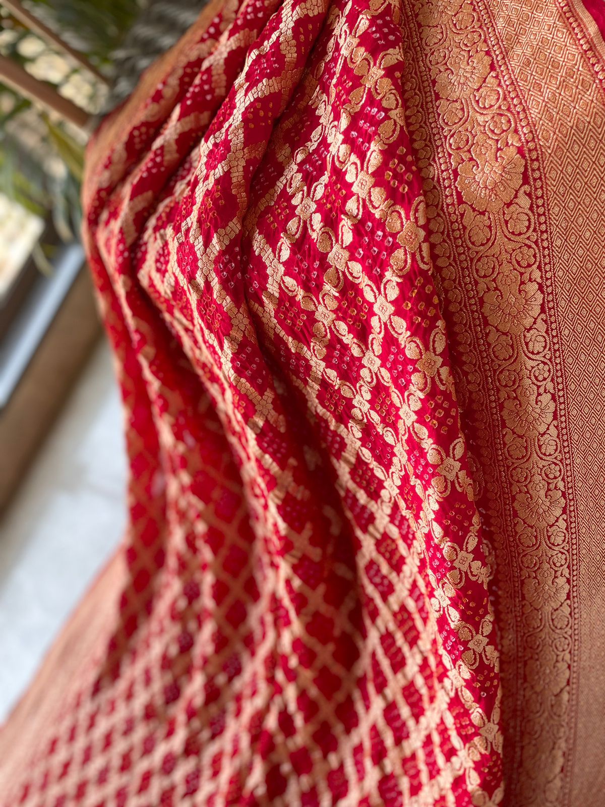Jeevika - Source of Life Saree