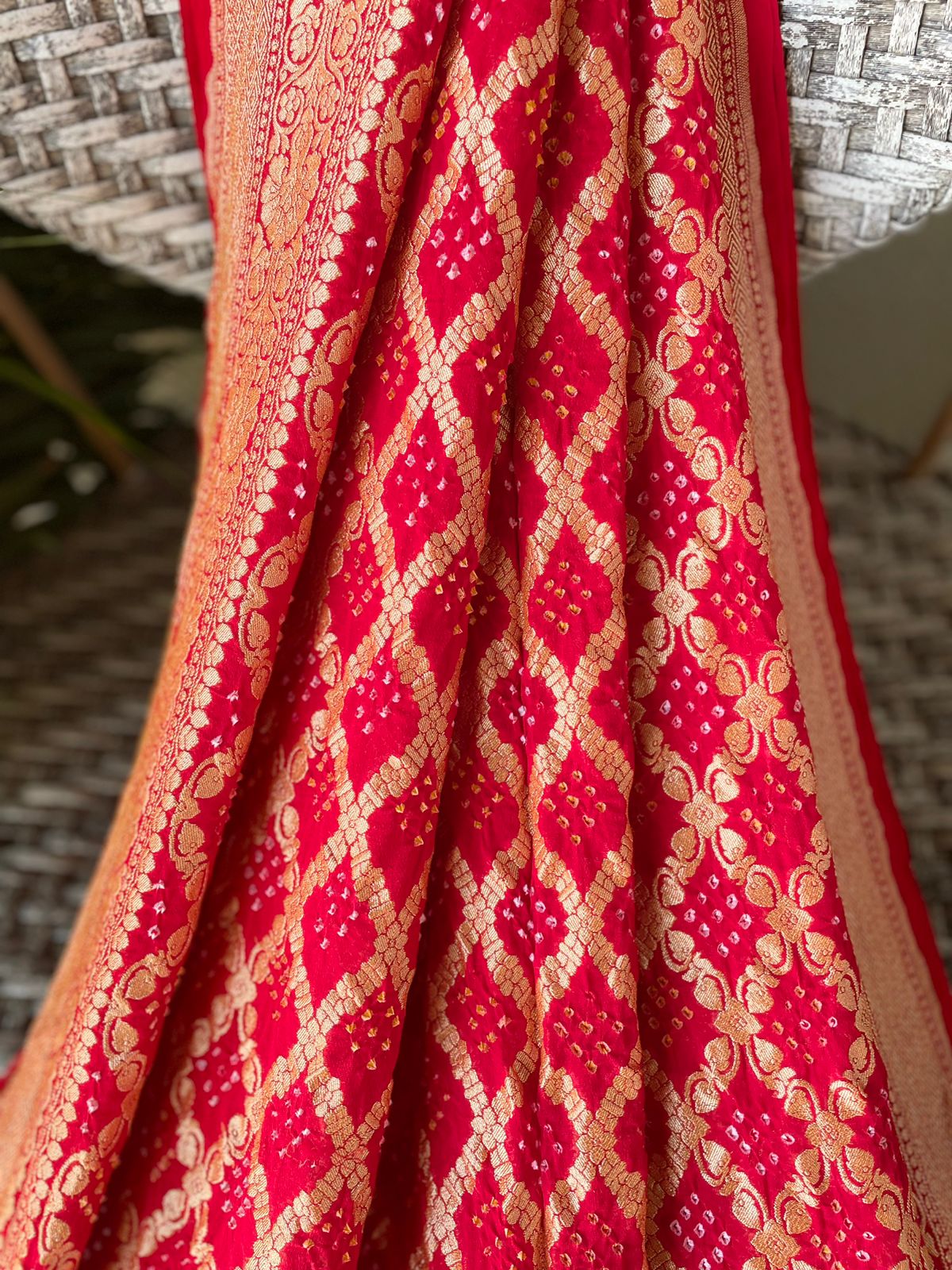Jeevika - Source of Life Saree