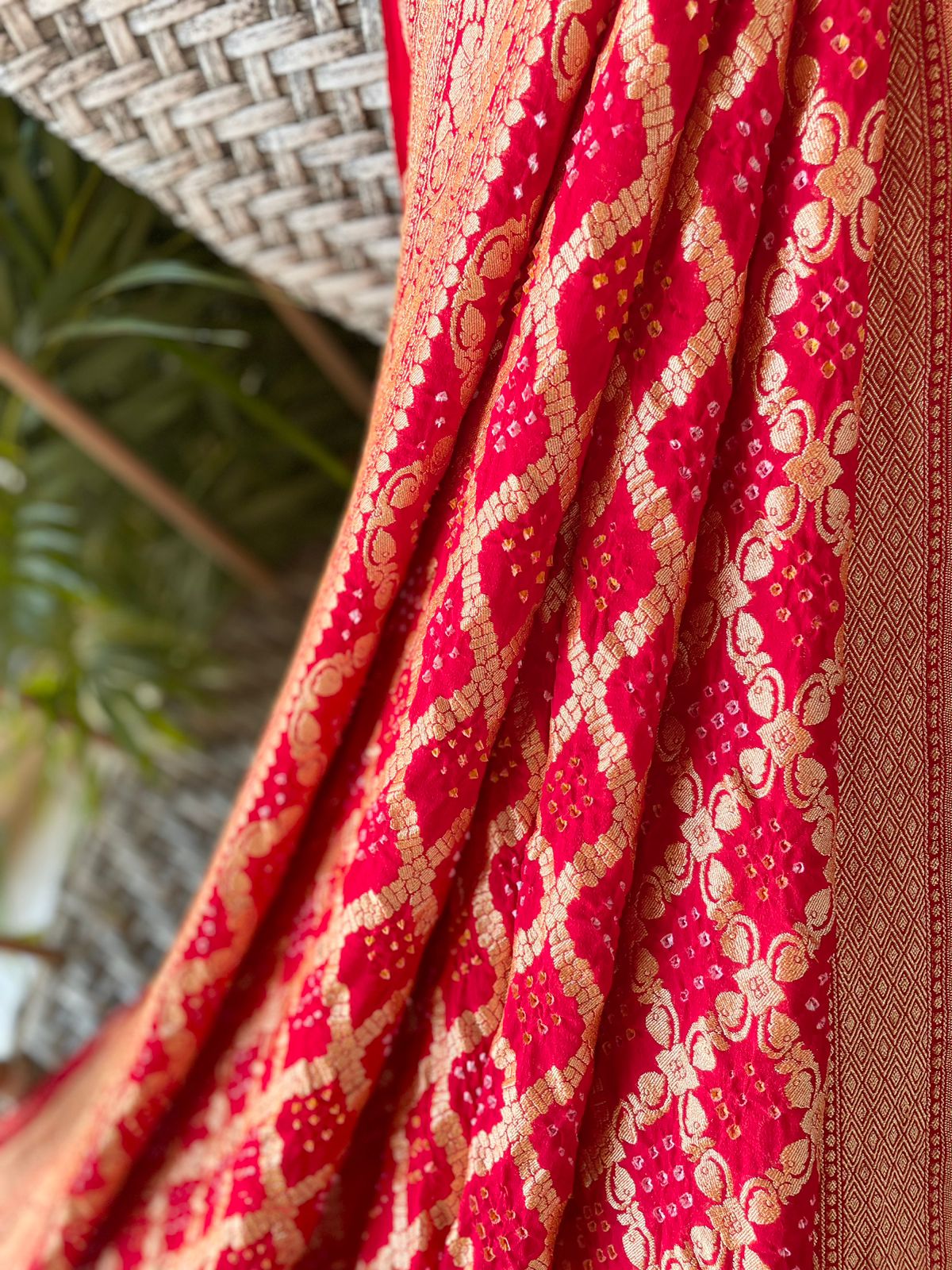 Jeevika - Source of Life Saree