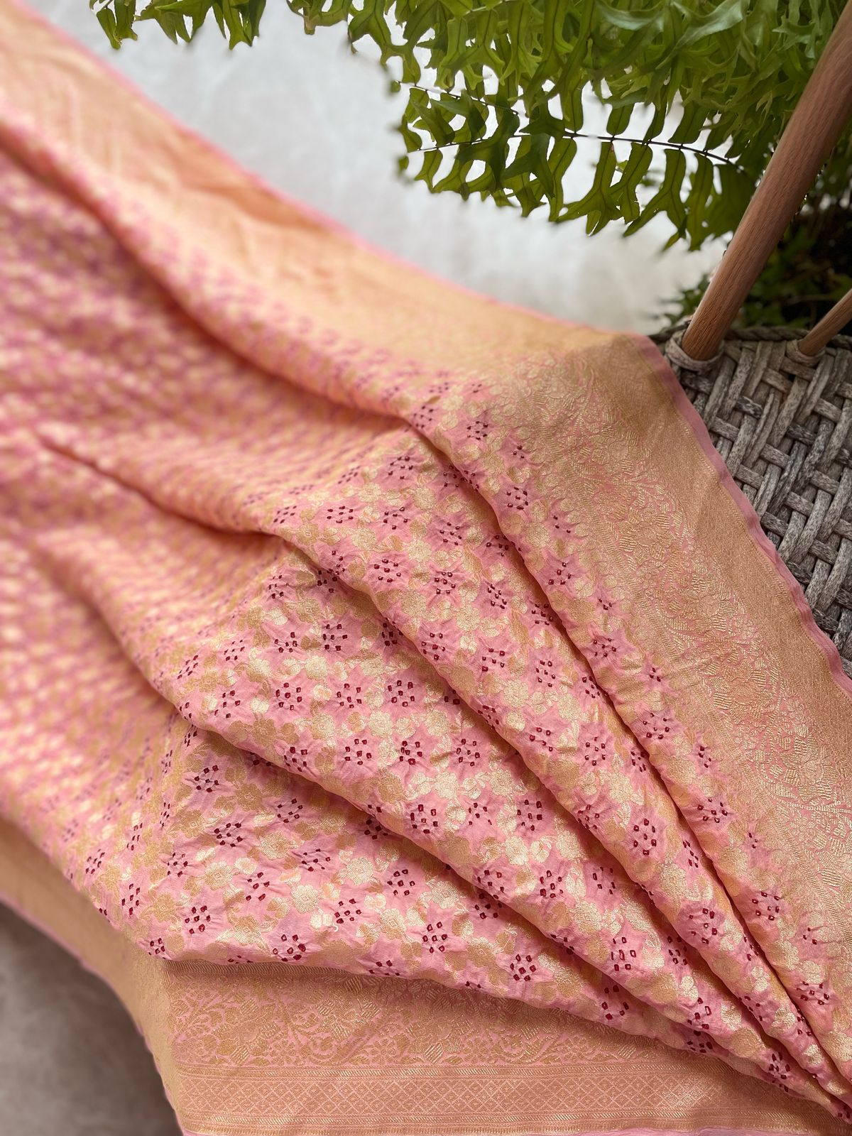 Samaira - Enchanting Saree