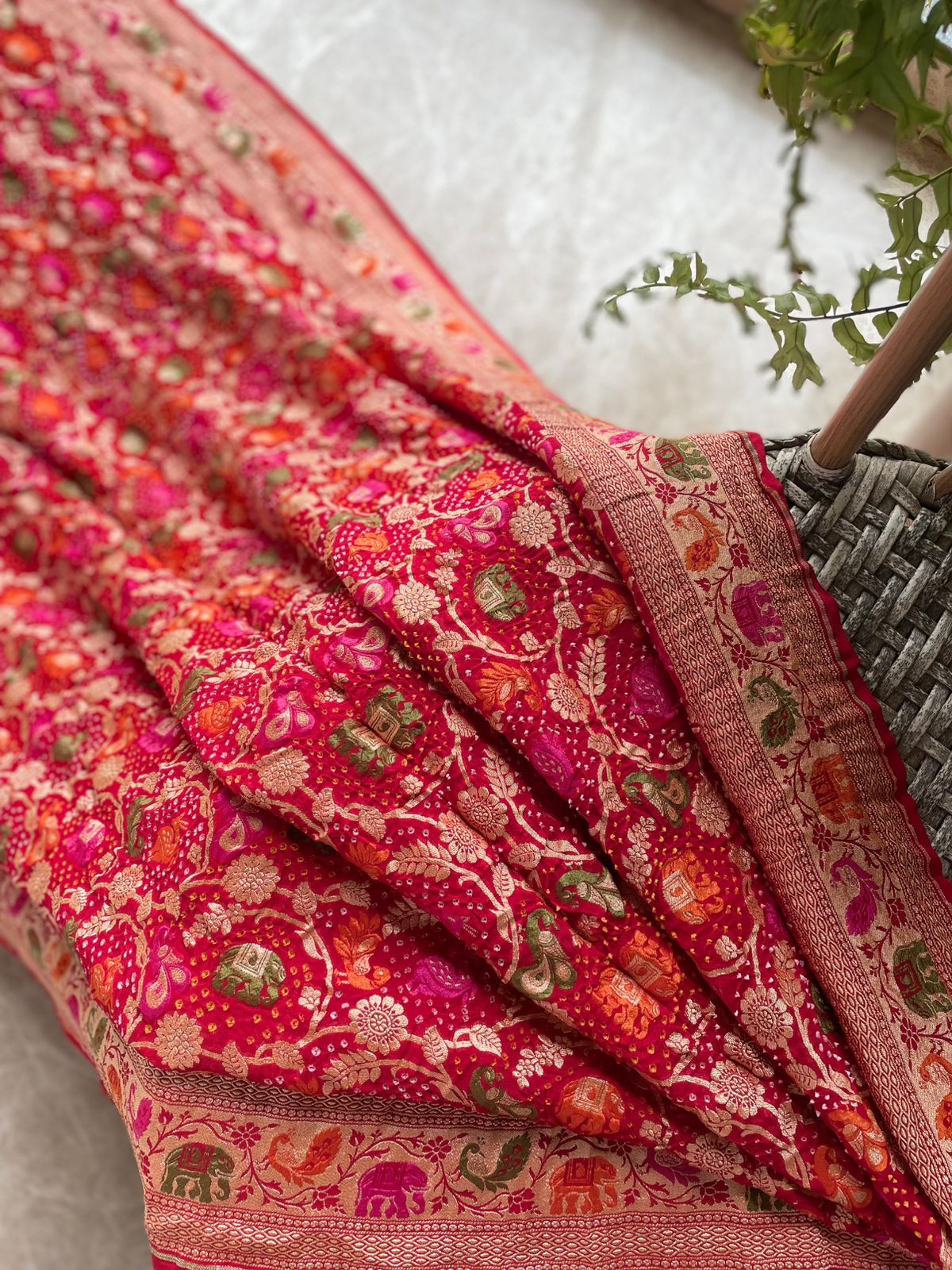 Rohini - A Rising Star Meenakari Motif Saree